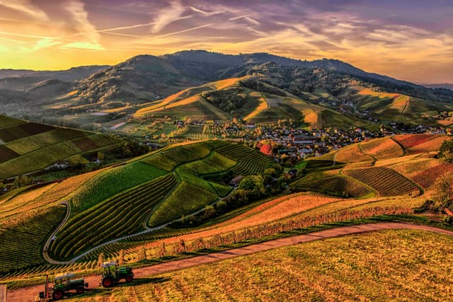 Rolling hills covered in lush vineyards and farmland, with a small village nestled in the valley, all under a vibrant, colorful sky at sunset